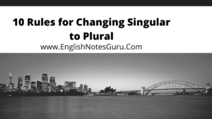Top 10 Rules for Changing Singular into Plural 