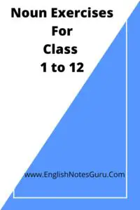 Noun Exercises For Class 1 to 12